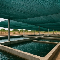 فروش توری شید ، توری شید سایبان ، قیمت انواع توری شید